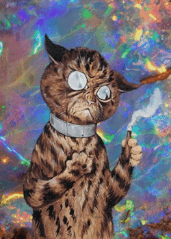 trippyfiend:  Trap Kitty 