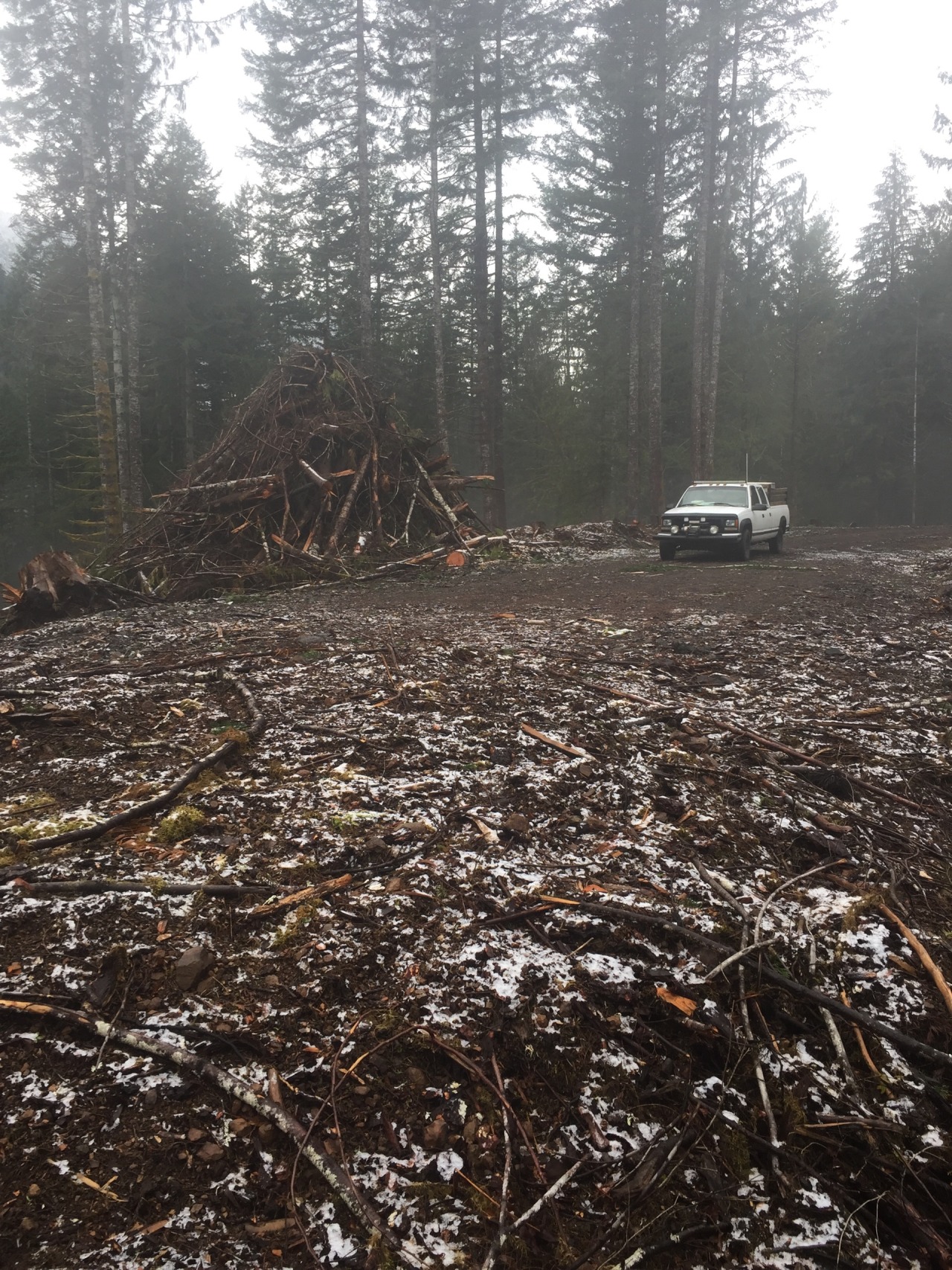 Little firewood adventure , loving my pnw life. Who doesn&rsquo;t love a man