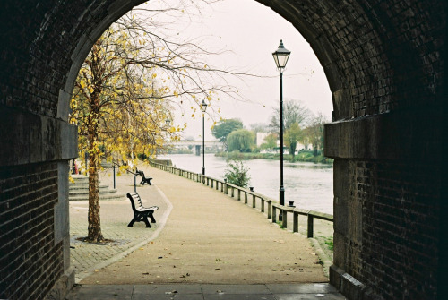 adorus:  CNV00025 Thames footpath (by jim sedgley)