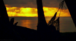 ☮ Seja o Equilíbrio