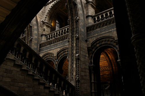 lovemyillusions:Natural History Museum LondonPhotography: Rosanna Brooks