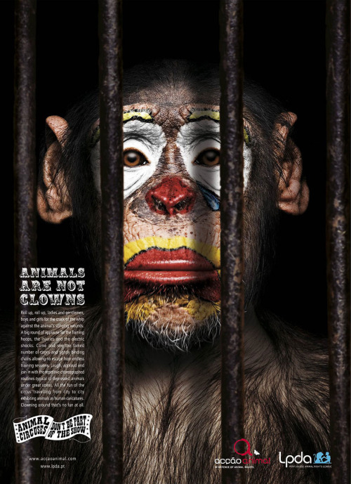 Porn Pics asylum-art:  11 . Powerful Animal Ad Campaigns