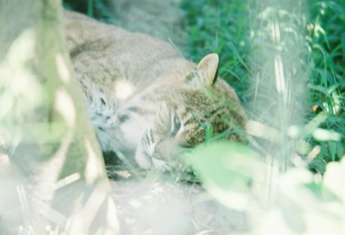 平川動物公園