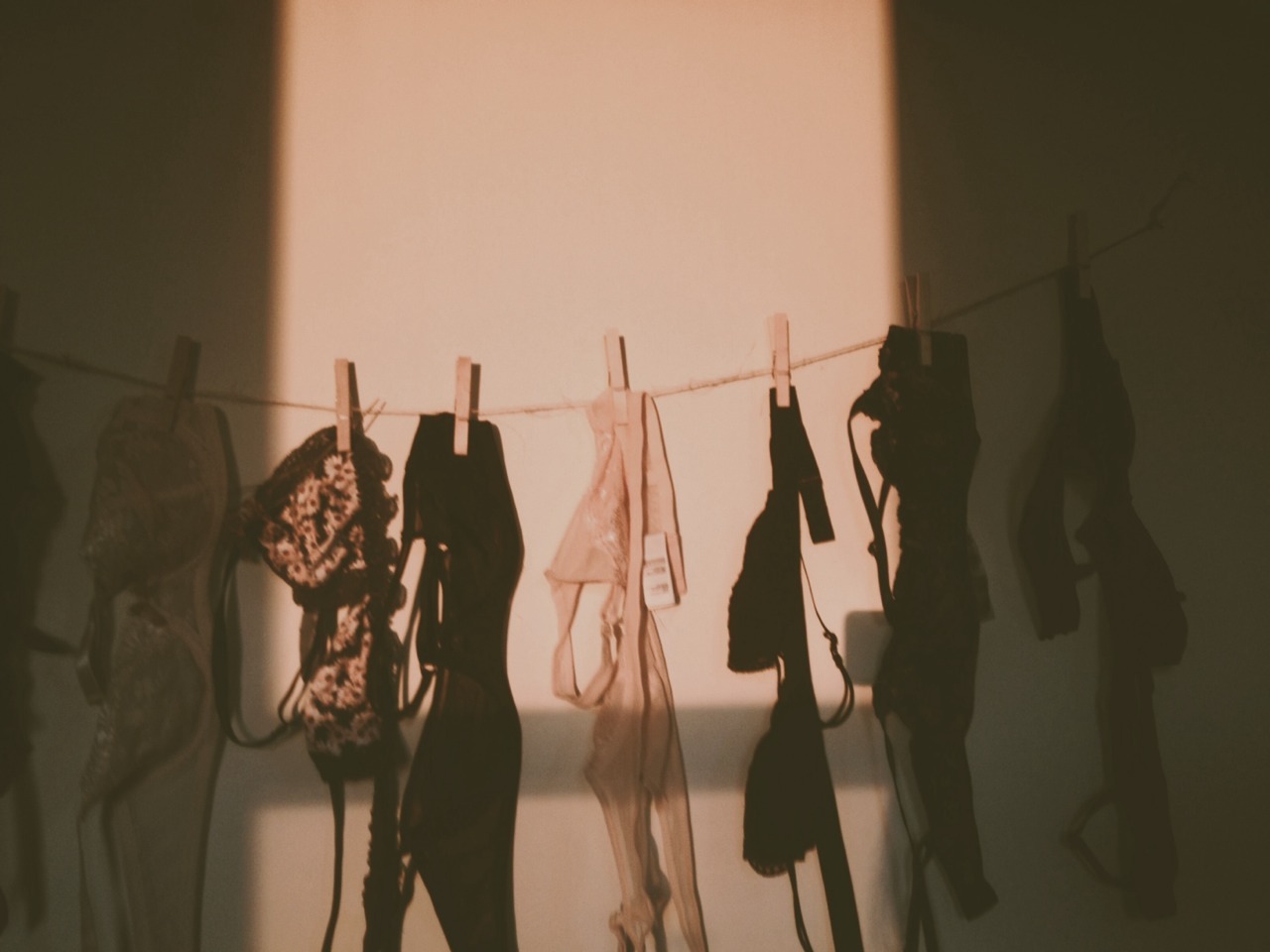 bunnyjennyphotos:  golden hour 