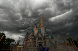 Disney World