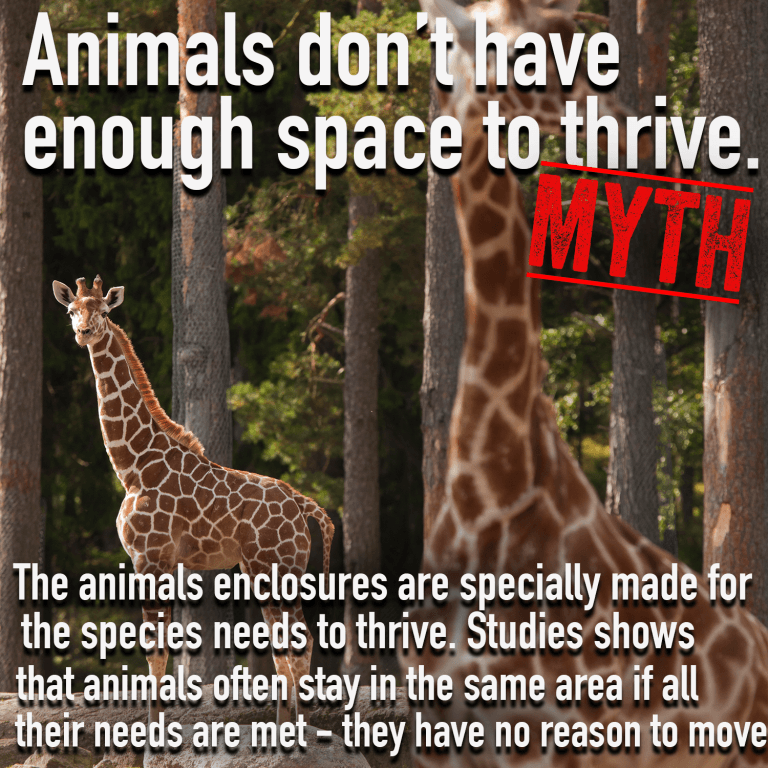 lovedrugsandfanfic:  coffeeandufos:  cephalopodvictorious:  useless-zoofacts: 6 zoo