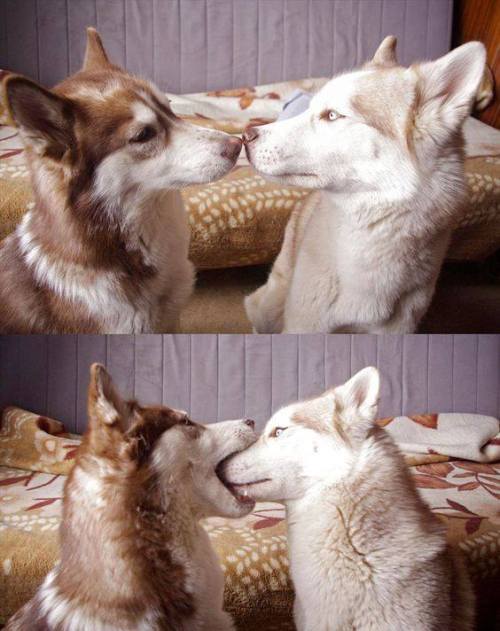 theseptemberlights:  onwwwwww!! :3 <3 <3 <3 <3 <3 <3 <3 <3 <3 <3