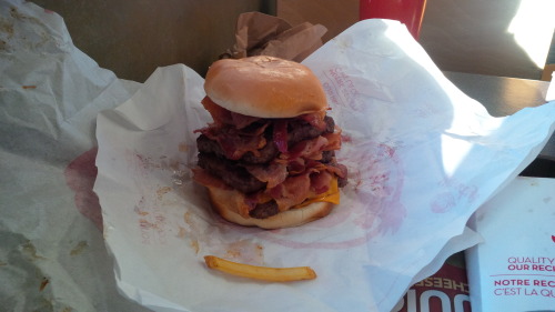 wendys:  verdegrand:  A triple Baconator with triple bacon! Three patties with 9 strips of bacon per patty! Added a (rather large) fry in for comparison.  omg  Triple baconator