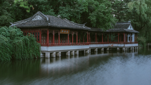 fuckyeahchinesegarden: Chinese garden by mingcat