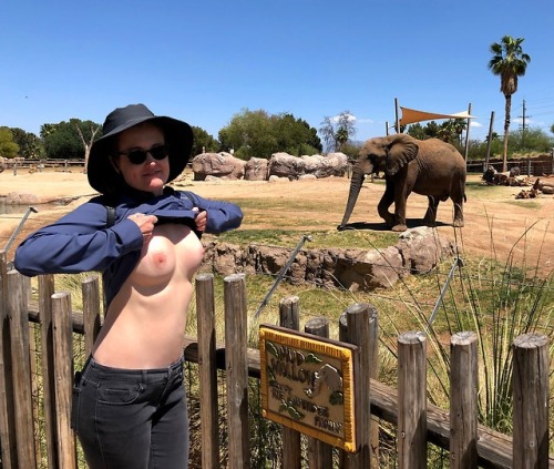 exhibitionist-wife:Little known fact…elephants love boobs!Here’s an interesting dare… F