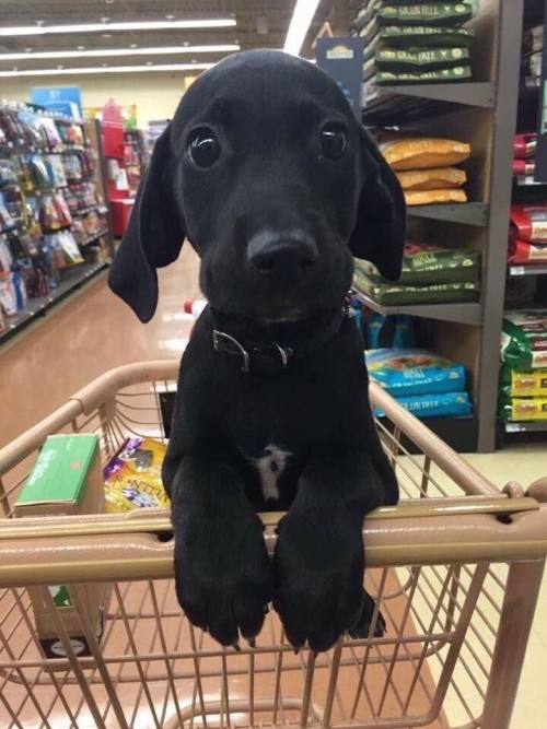 The Most Beautiful Thing You'll See Today.