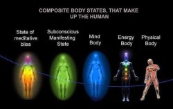 composite body states