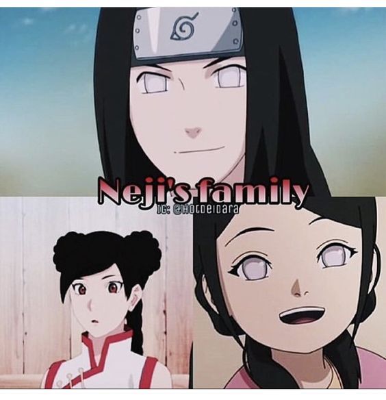 neji evolution