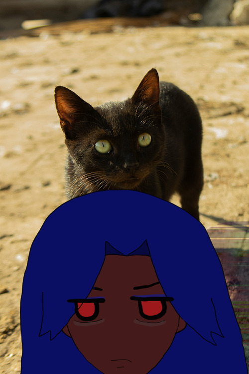 antonio chandrani rivera frowning and not getting any sleep with red eyes irritated and brows drawn, with shoulder-length dark blue hair very large in front of this beautiful sunlit black cat with leaf green eyes and sharp black irises surrounded by a sandy path. its shadow is normal beneath antonio's more computer-static-ing shadow.