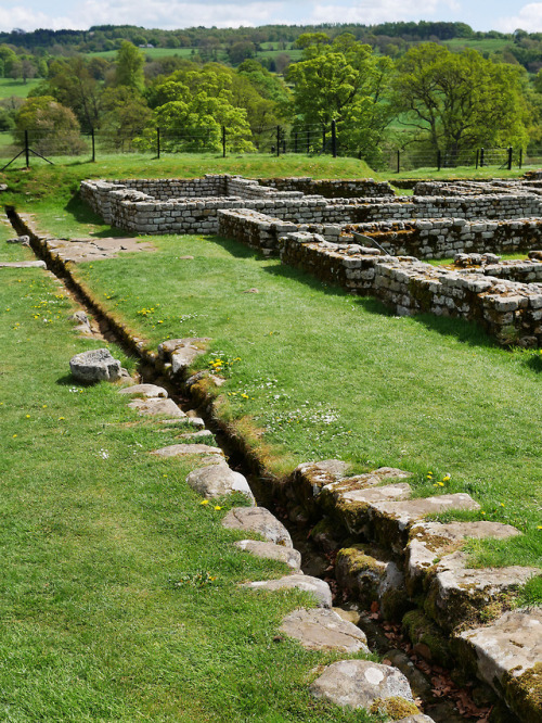 Barracks and Stables, Chesters Roman Fort, Hadrian’s Wall, 13.5.18.