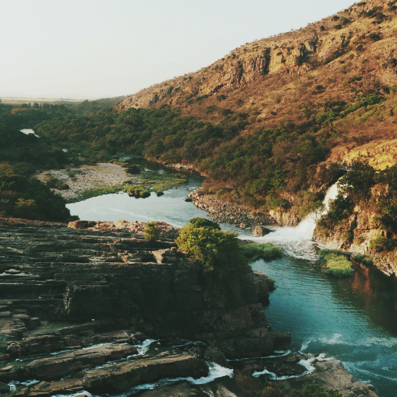 danielodowd:fran_venter