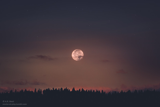 “I love you past the moon and miss you beyond the stars” ~JmStorm