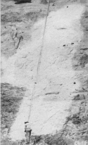 zeezrom:   “The Pink Lady of Malibu” “On October 29, 1966, a massive 60-foot-tall painting of a nude pink lady holding flowers suddenly appeared as you headed into the tunnel on Malibu Canyon Road. As word of the massive pink lady spread, and