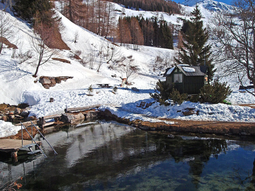 Fresh Alpine Pool
