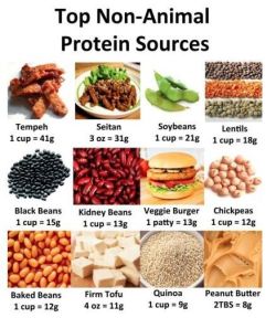 thebodystation:  Meatless Protein! #fitfam