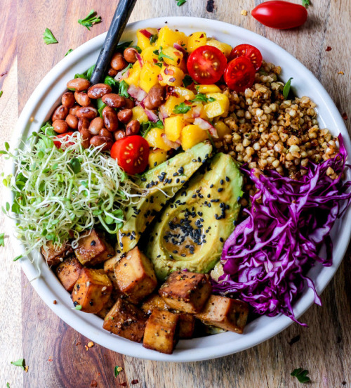 Vegan Bowl Round UpRoasted Cauliflower Burrito BowlsSushi Bowl With Vegan Spicy Mayo (GF)Vegan Buddh