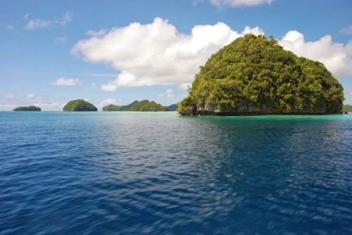 unicorn-meat-is-too-mainstream: Palau is an archipelago of about 250 islands, located in the western