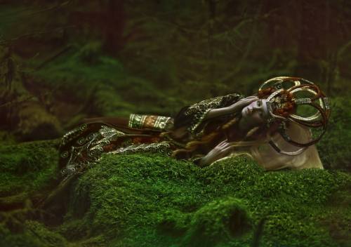 lamus-dworski: Fairytale world photographed by Agnieszka Lorek / A.M.Lorek Photography