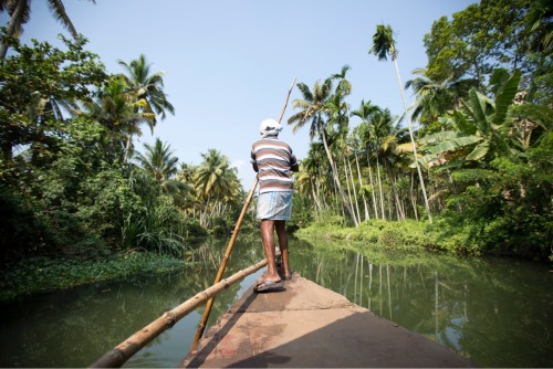 The magnificent beauty and tranquility of Kerala&rsquo;s backwaters really radiates the state&rsquo;