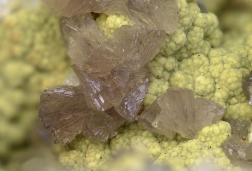 Leucophosphite, Kidwellite Les Montmins Mine, Échassières, Ébreuil, Allier, Auvergne-Rhône-Alpes, Fr