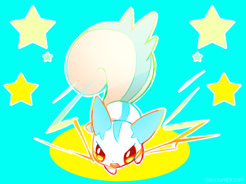 niaro:  I NEVER LOVED A POKEMON SO MUCHPOKEMON CHAMPION 2014 SE JUN PARK’S GODDESS PACHIRISU 