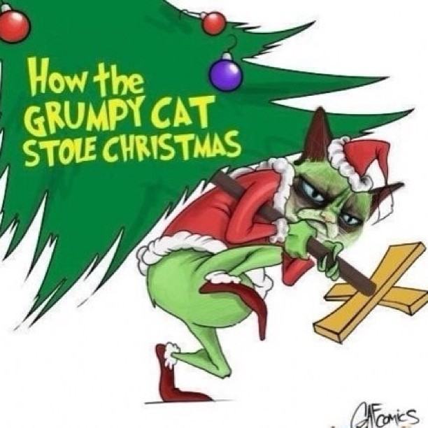 #truth ! #christmas #grumpycat #grinch #lights #xmas #swag #yolo #cat #kitten #kitty