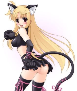 Catgirl Yuri Haven