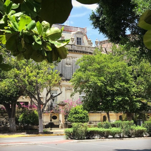 Paseo de Montejo #merida #yucatan (en Paseo de Montejo Merida Yuc)