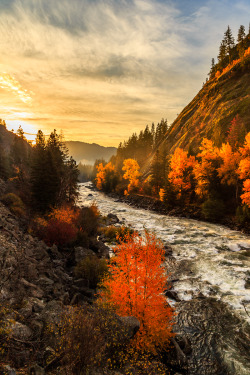 bsharp321:Fall colors near Leavenworth, WA.