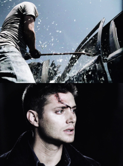 keepyourguttersoul:  You don't think I've given enough?  dean meme: 1/3 seasons ↳season