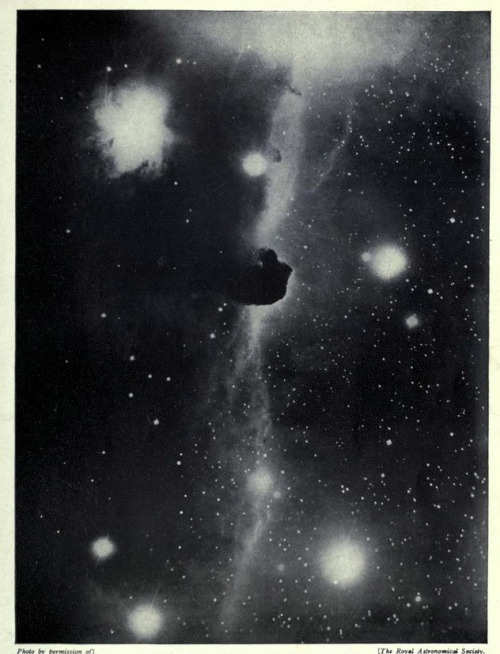 nemfrog:  Photo used in an astronomy book to show that exposures lasting hours reveal otherwise invisible stars, in this case in the region of Orion. Splendour of the heavens. 1923.