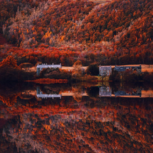 photography-cnl:Photographer Kristina Makeeva Captures What Autumn Looks Like Around Europe Keep rea