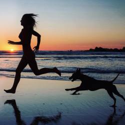 marisapapen:  🐾✨ (bij Biarritz Plage)