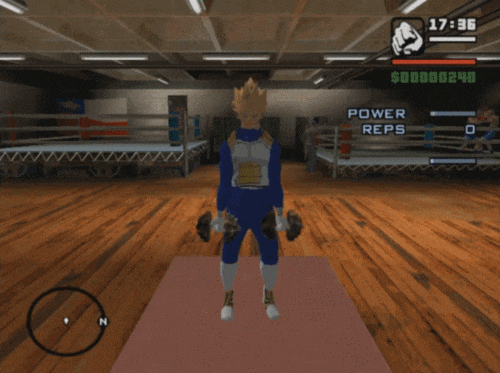 isopodde:  VEGETA TRAINS FOR THE BIG TOURNAMENT