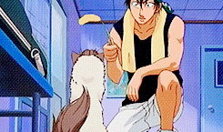 ilovekawaiifashion:  My reaction when I see any cat (ahaha exactly like Kaidoh)