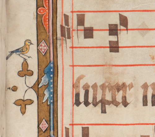 Detail of Graduale oesa, Proprium de tempore, pars aestivalis, Ms. WettFm 2, f. 3r, Cologne, Germany