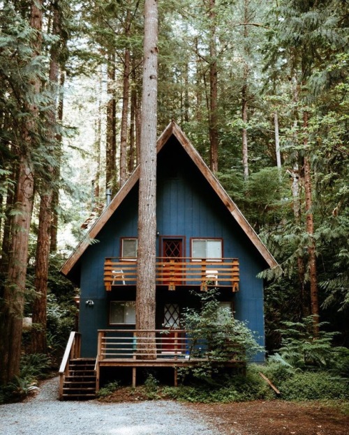 wild-cabins - zachary k smith