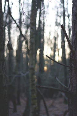 anythingbutdarling.tumblr.com/post/96841958374/