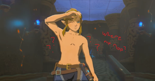 Porn photo hyah-through-hyrule:Nintendo, explain.