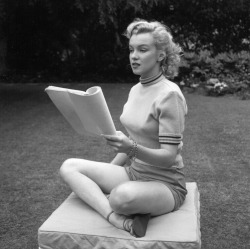 alwaysbevintage:  Marilyn Monroe photographed in Beverly Hills, California, 1950 /Michael Ochs Archive