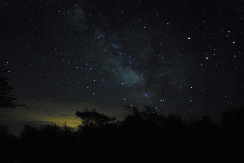 “milky way” by Elizabeth Seeley on Flickr.