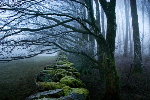 bluepueblo: Winter Wall, The Lake District, England photo via karen