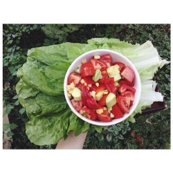 Fresh 💦 {tomato, capsicum, corn, avocado and chick pea lettuce wraps} ☀️