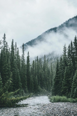 thrilled-d:  banshy:  Banff National Park // Hannes Becker    🍃