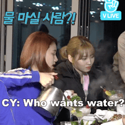 twiceoneinamillion:  MOMO AND SODA FT. JEONGMO’S SODA TELEPATHY 